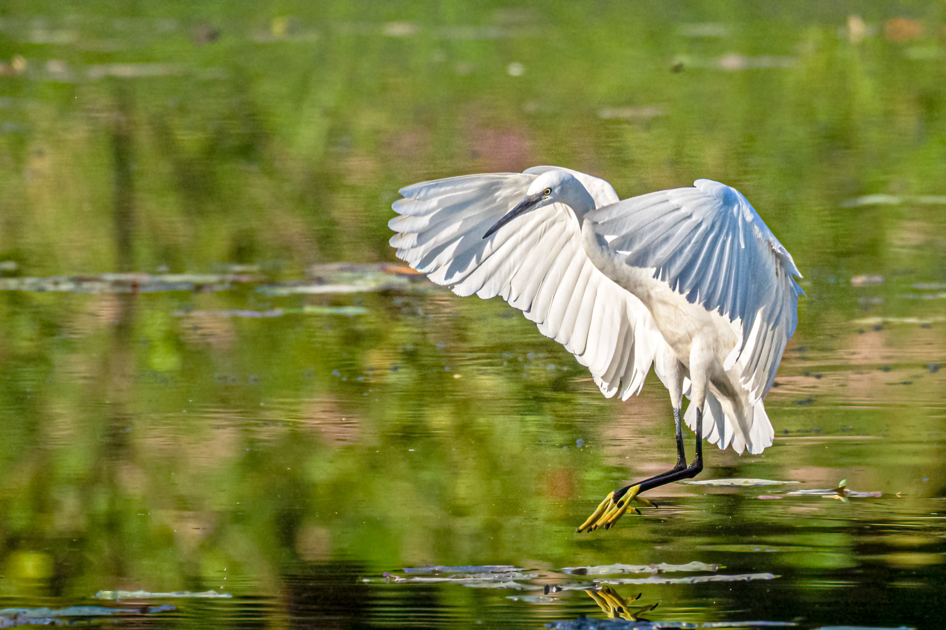 Schweiz - Naturfotografen Schweiz